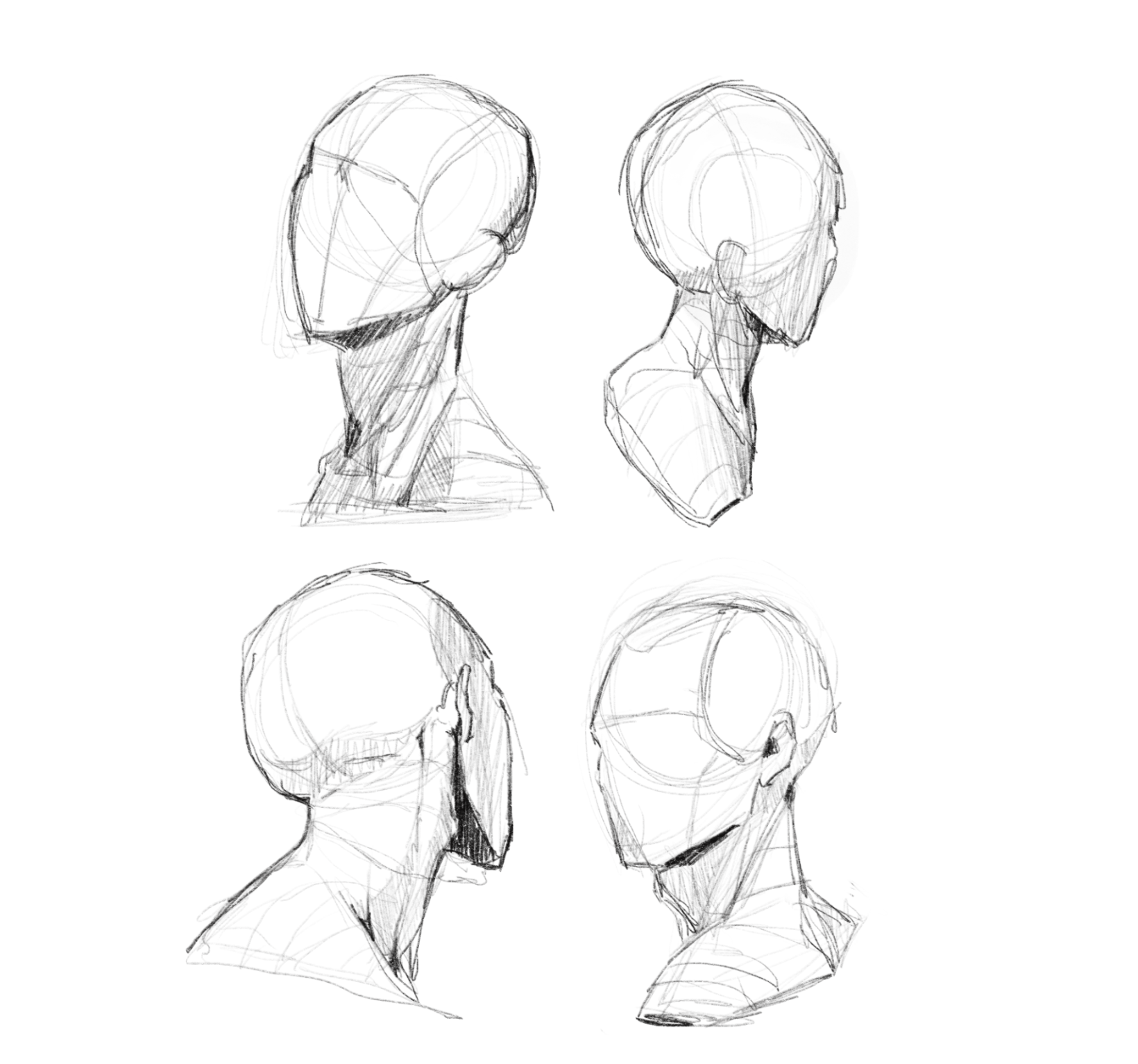 Pencil Sketches