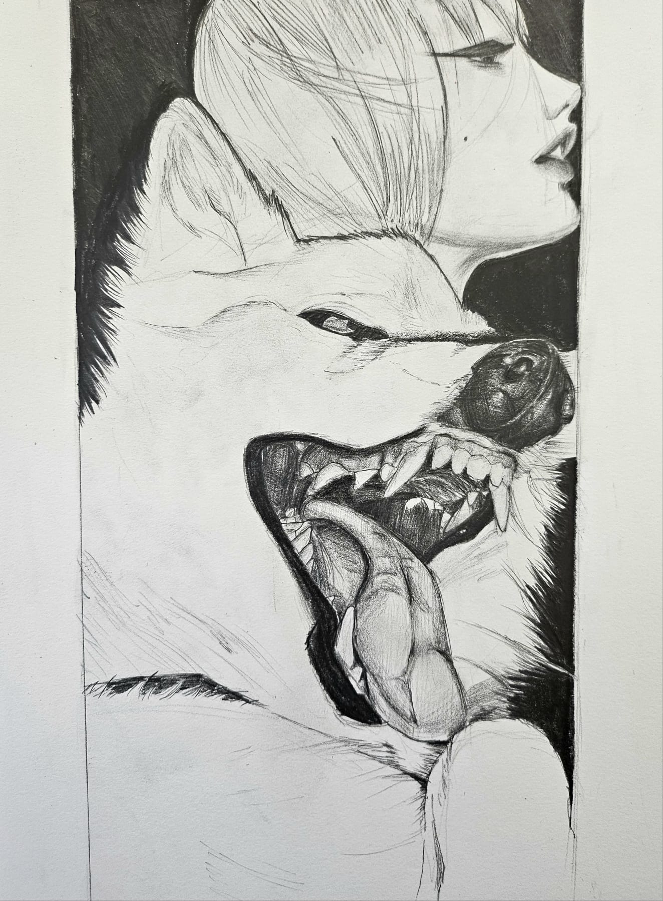 Sketchbook Gallery - Studies.